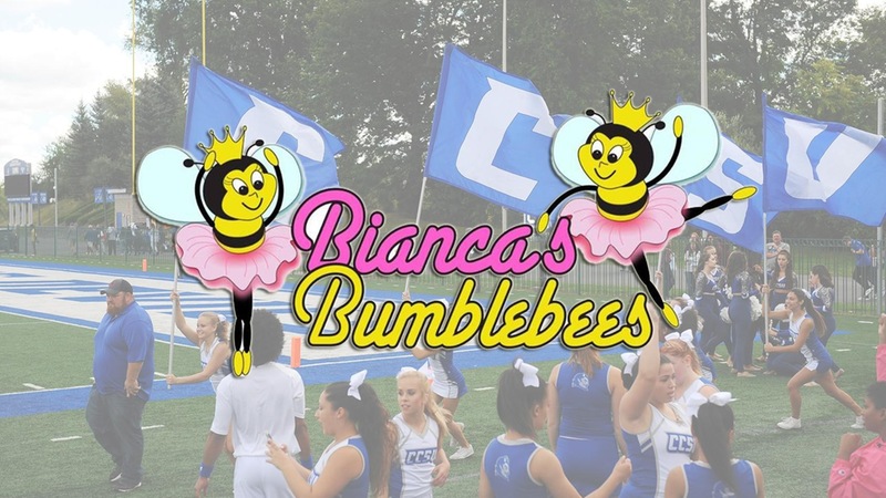 Donations to Support Bianca's Bumblebees to Take Place at Football Game on Saturday