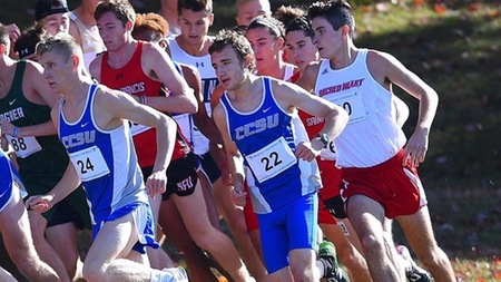Norstrom Leads Cross Country at ECAC/IC4A Championships