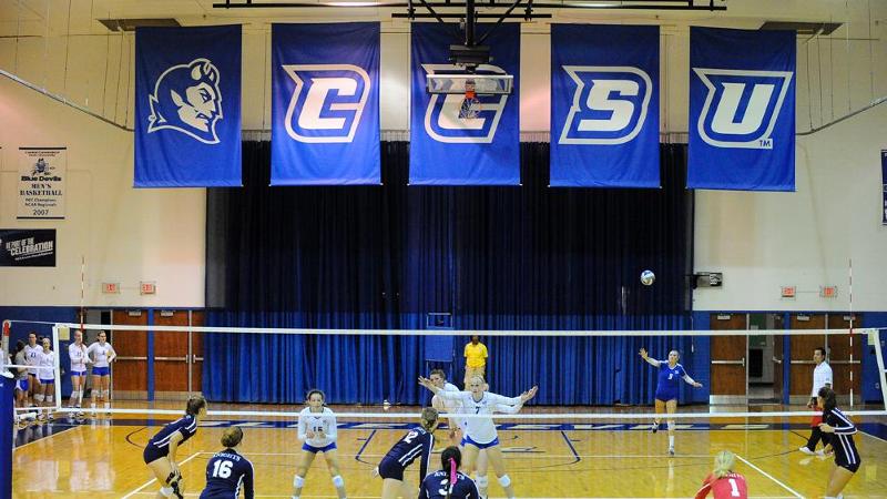 Volleyball Announces 2014 Schedule