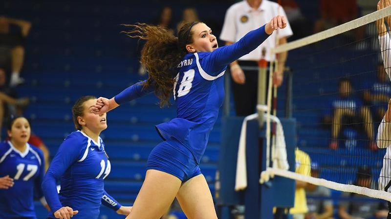 Volleyball Falls to Sacred Heart