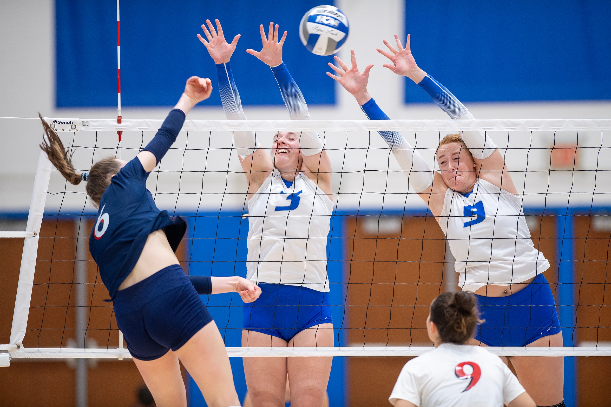 Mia Lombardo and Isabelle Roufs led CCSU with 9 kills each (Steve McLaughlin Photography)