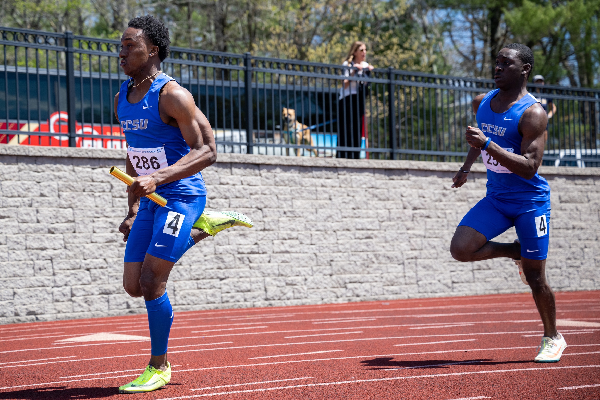 Blue Devils Place Fourth in Holy Cross Invitational