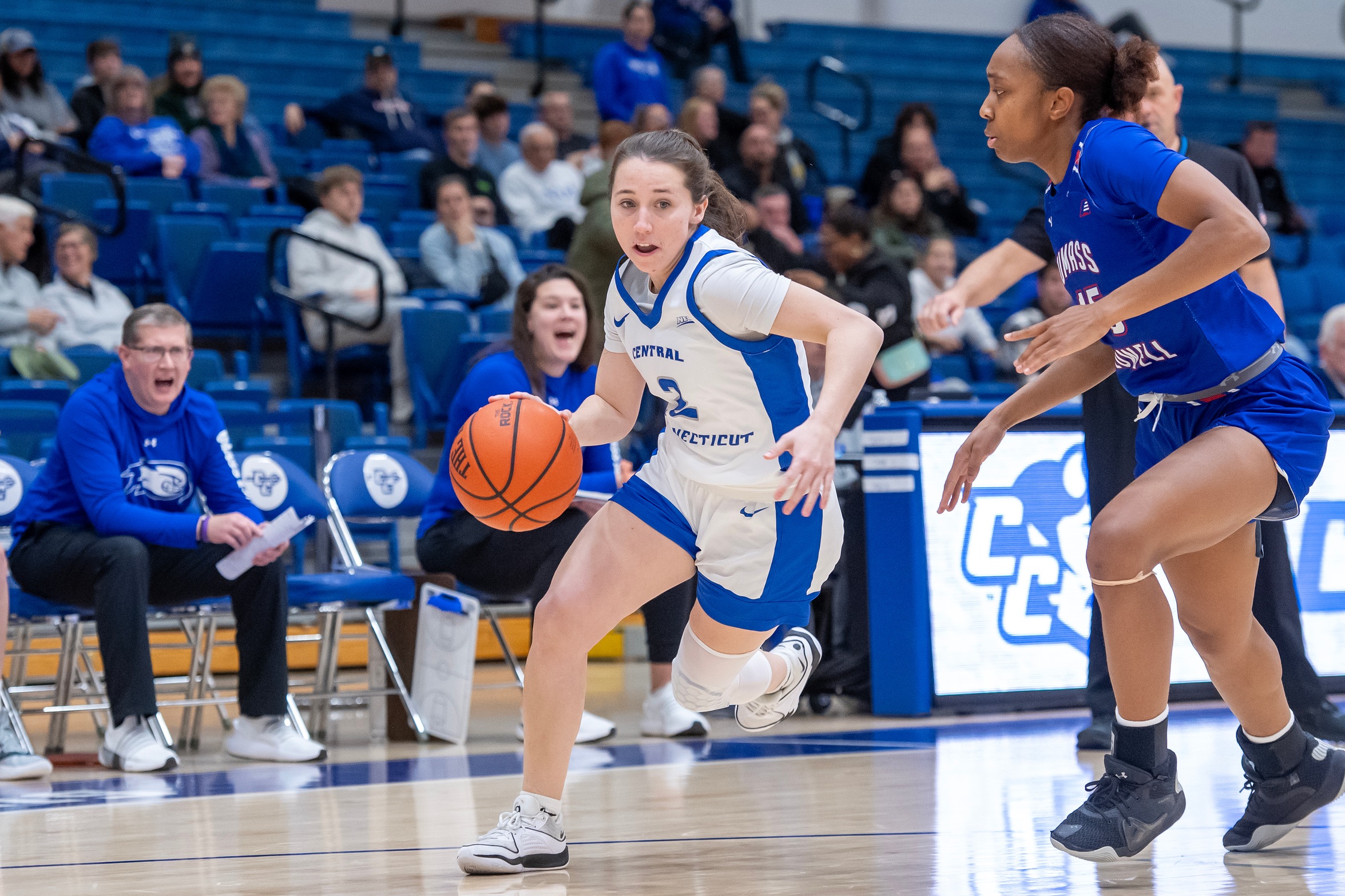Women's Basketball Defeated by UAlbany
