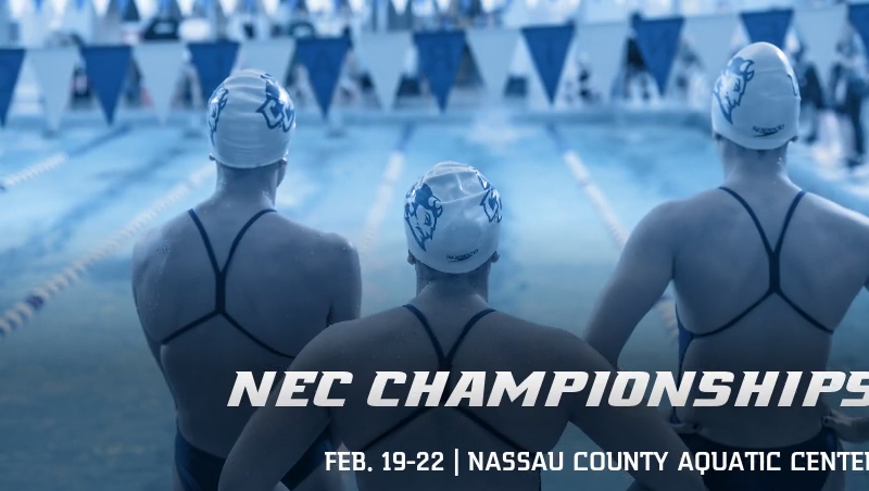 Swimming and Diving Opens at NEC Championships on Wednesday Night